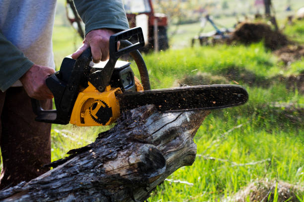 Lawn Maintenance Plans in Chisholm, ME